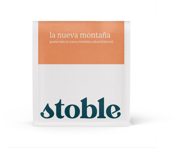 La Nueva Montaña Guatemala Microlot